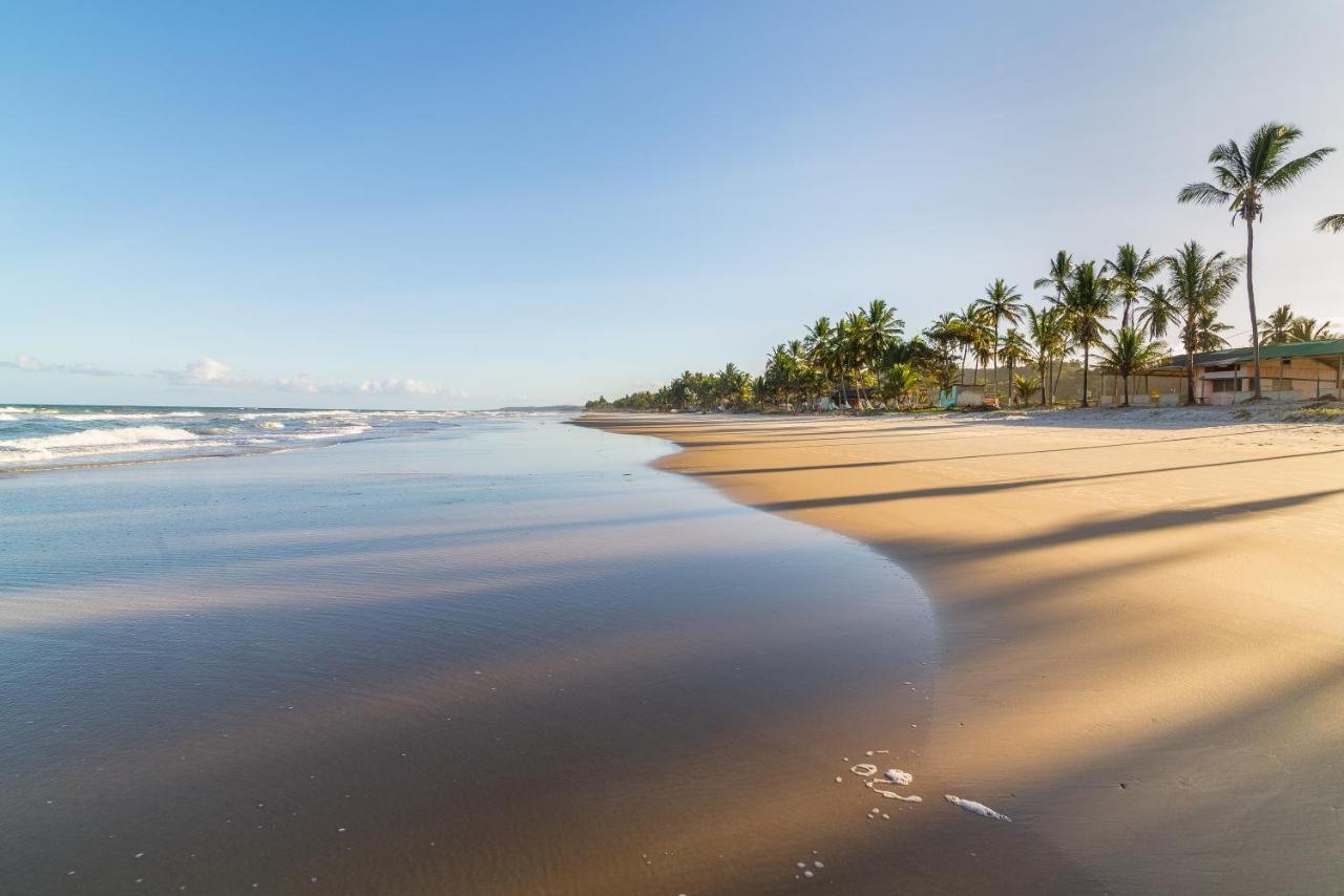 Belissimo Apto A 500M Praias Do Sul 일례우스 외부 사진